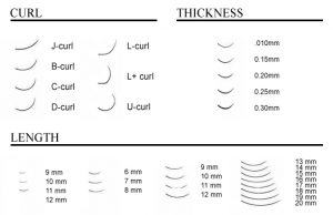 LASHES CHART